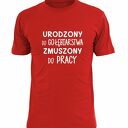 Koszulka z nadrukiem, prezent najlepszy gołębiarstwo, urodziny