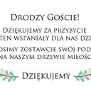 Drzewo do wpisów gości - Wesele, ślub, urodziny - alternatywa księgi gości