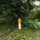 Lampa ceramiczna Smardz - ręcznie wykonana lampka nastrojowa