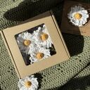 Zestaw 3 magnesów stokrotki - wiosenny upominek w pudełku prezentowym