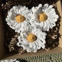 Zestaw 3 magnesów stokrotki - wiosenny upominek w pudełku prezentowym