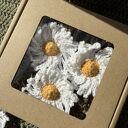 Zestaw 3 magnesów stokrotki - wiosenny upominek w pudełku prezentowym