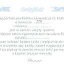 Pan Królik - ręcznie robiona maskotka-przytulanka z imieniem