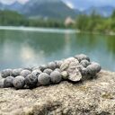 Męska bransoletka z naturalnego jaspisu szarego i głową Zeusa - prezent dla niego
