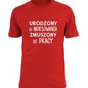 Koszulka z nadrukiem dla morsa, prezent najlepszy MORS, morsowanie, urodziny