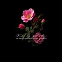 Torba anuszka z zamkiem - dzika róża - z kolekcji "kwiaty polskie"