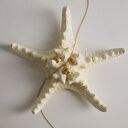 różowe muszla naszyjnik z różowego złota