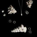 muszla naszyjniki złoty z muszelką