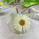 Okrągły wisiorek z suszonym rumiankiem z2015