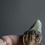 jadeit zielone skamieniały ząb smoka - naszyjnik z jadeitem smoczy kieł