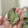 zielone wisior liść wiązu - naszyjnik botaniczny z wisor z liściem na prezent