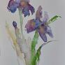 paulina lebida irysy kwiaty akwarela formatu farby