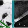 miś obraz na płótnie - 100x80cm panda