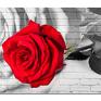 XXL róża 1 - 120x70cm na płótnie obraz czerwona