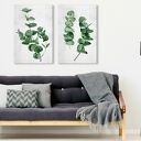Nowoczesny obraz botaniczny z eukaliptusami - komplet 2 części 50x70 cm