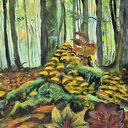 Obraz akrylowy na płótnie, 50x50x1cm, Podlasie