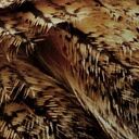 Obraz na ścianę z sową - makro oczu 120x80 cm