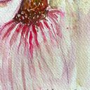 Echinacea - akwarela na papierze, portret kobiety