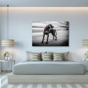 Obraz na płótnie z wyżłem weimarskim - plaża i morze 120x80 cm
