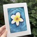 Akwarela A5 Kwiat Frangipani na Wodzie
