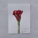 Amarylis - akwarela botaniczna Lhotse Design (15,7x21 cm)