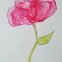 KWIATEK - ręcznie malowana akwarela 12,5 x 18 cm