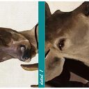 Obraz na płótnie 80x100 cm DEER LOVE 02127 - gotowy do powieszenia