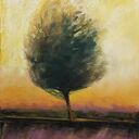 Drzewo - obraz z pastelami suchymi 24x18 cm