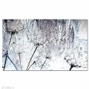 obraz XXL DMUCHAWCE 10 - 100x60cm na płótnie szarości