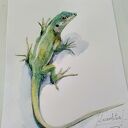 Jaszczurka. Akwarela