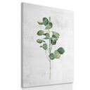 Obraz drukowany na płótnie AKWARELOWA ROSLINKA - EUKALIPTUS 40x60cm