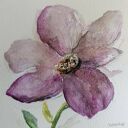 Fioletowy kwiat - oryginalna akwarela 15 x 15 cm