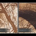 Obraz na płótnie - POCAŁUNEK DRZEWA - 120x80 cm (29502)