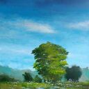 Słoneczny dzień - obraz akrylowy drzewa 60 x 50 cm