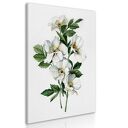 Obraz drukowany na płótnie BIAŁE KWIATY 50x70 cm 03155 - gotowy do powieszenia