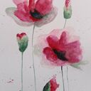 MAKI-akwarela formatu 24/18 cm