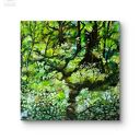 Obraz akrylowy Natura - kwiat na blejtramie 50x50 cm