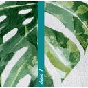 Kwiat Monstera 70x100 cm - nowoczesny obraz drukowany na płótnie