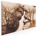 Obraz na płótnie - POCAŁUNEK DRZEWA - 120x80 cm (29502)