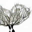 Grafika 30x40 cm - abstrakcja czarno-biała w eleganckim minimalizmie
