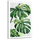 Obraz drukowany na płótnie KWIAT MONSTERA 80x120cm 03142