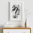Plakat obraz koń 50x70 cm B2 (Hogstudio)