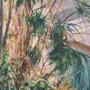 Botaniczna szklarnia - oryginalna akwarela 43x61 cm