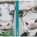 Nowoczesny obraz drukowany na płótnie Byk i krowa 120x80 cm