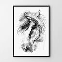 Plakat obraz koń 50x70 cm B2
