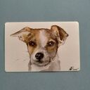 Portret psa Jack Russell - akwarela 10x15 cm