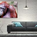 Obraz ORANGUTAN 1 - 120x70 cm na płótnie w stylu modern