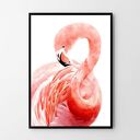 Plakat obraz flaming A2 42x59.4cm