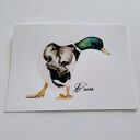 Kaczor 2. Miniatura akwarelowa
