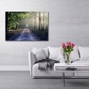 Obraz na płótnie 120x80 cm - leśna ścieżka we mgle